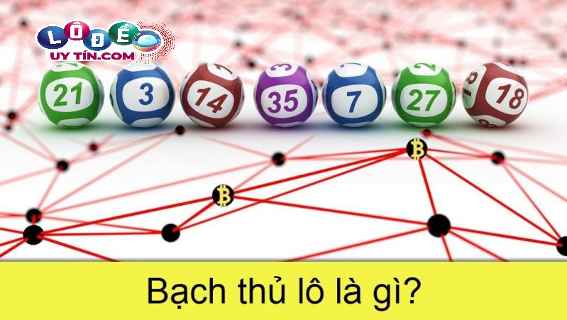 Bật mí kinh nghiệm chơi lô bạch thủ 7 ngày hiệu quả