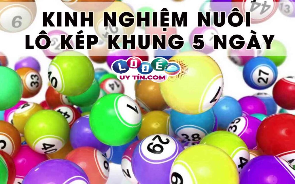 Cách nuôi lô kép khung 5 ngày chuẩn và chính xác nhất 1 Cách nuôi lô kép khung 5 ngày chuẩn và chính xác nhất