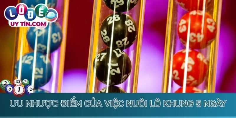 Ưu nhược điểm của việc nuôi lô khung 5 ngày